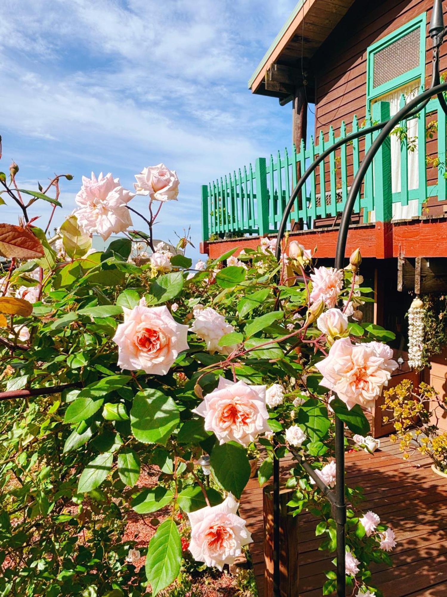 The Goat And Goose Bed & Breakfast Лейкс Ентранс Екстериор снимка